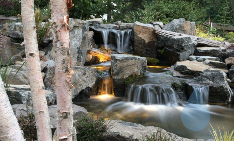 Pond Guy: Your Trusted Expert for Pond Solutions