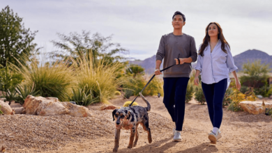 Why LitPet Is the Future of Natural Dog Wellness