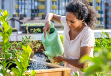 The Growing Culture of Aquatic Wellness in Urban Environments