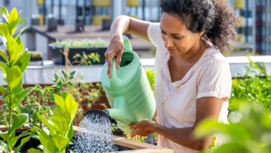 The Growing Culture of Aquatic Wellness in Urban Environments