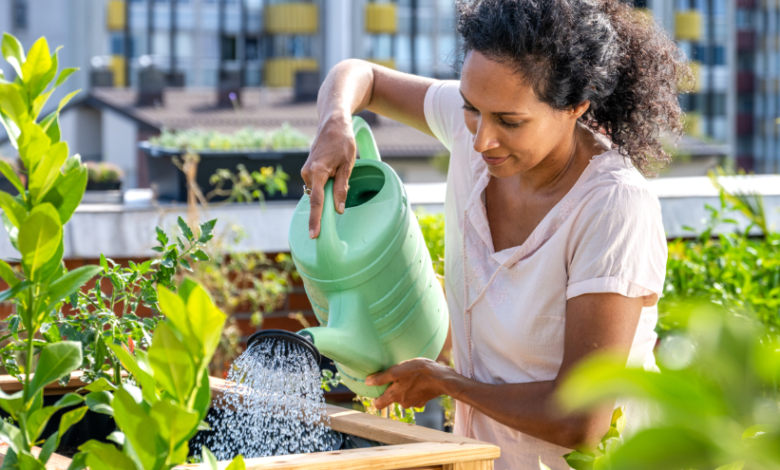 The Growing Culture of Aquatic Wellness in Urban Environments