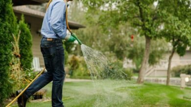 Watering Tips