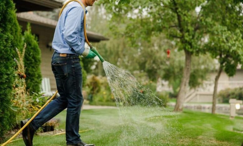 Watering Tips