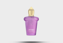 Beguile by Oma: Redefining Elegance and Luxury in Modern Fragrances