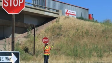 5 Ways to Lower Insurance Premiums by Using Traffic Management Companies 