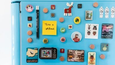 audience magnet traffic engine