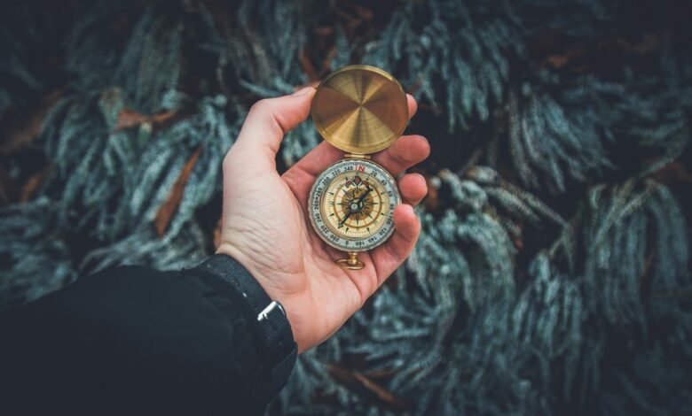 brand maximizer performance compass