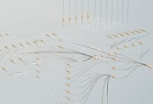 neural vector apex edge