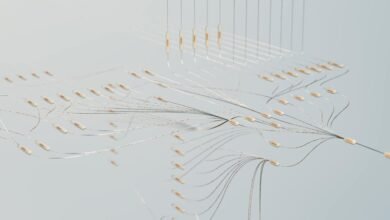 neural vector apex edge