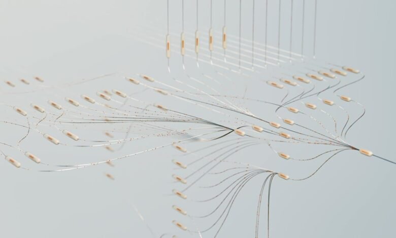 neural vector apex edge