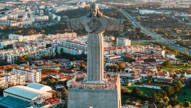 verified safety lookup complete