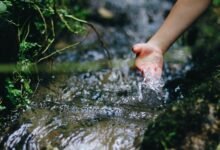 contact stream start 781 566 8000