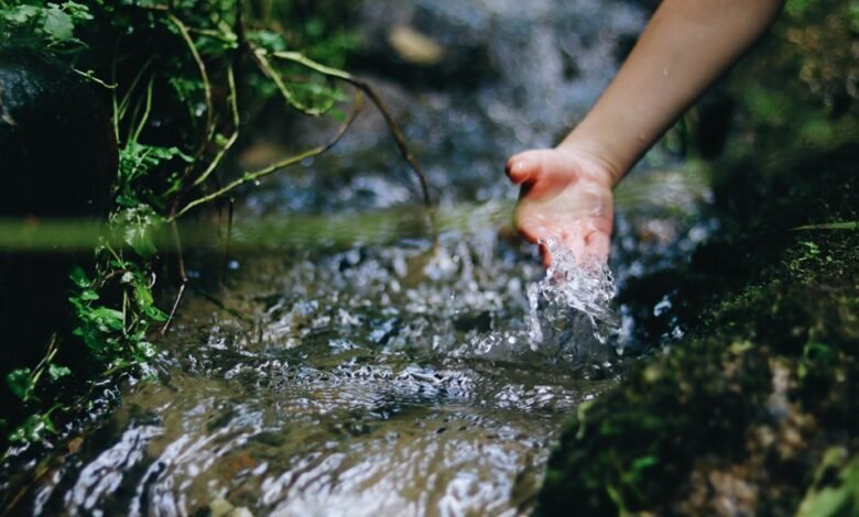 contact stream start 781 566 8000