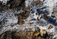 digital trace start unlocking caller discovery