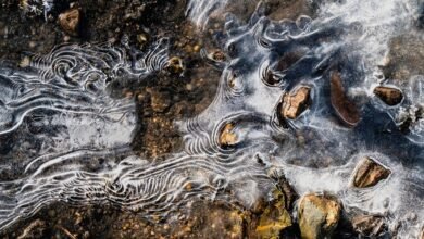 digital trace start unlocking caller discovery