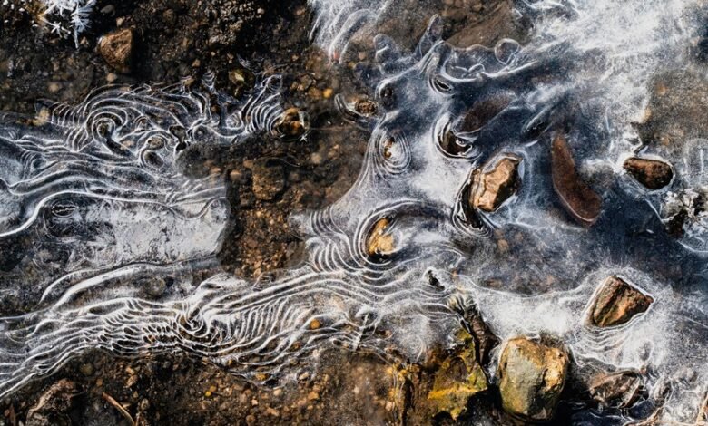 digital trace start unlocking caller discovery