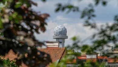 smart radar start verified phone lookup