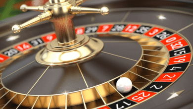 Why Hahaspin Casino is Leading the Rise of Live Casinos