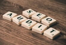 incoming wordpress audit wisestudyspot backlinks