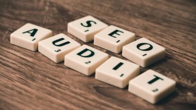incoming wordpress audit wisestudyspot backlinks