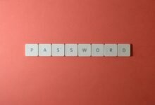 network record check ids and credentials