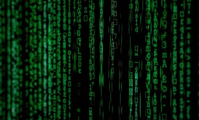 system entries phone numbers and usernames