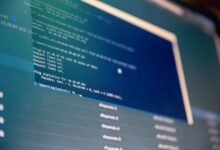 web system analysis ids and usernames listed