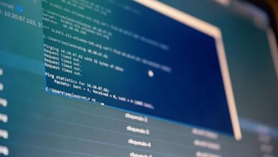 web system analysis ids and usernames listed