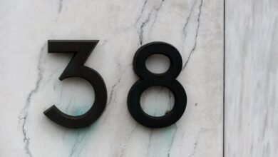 numbered views and search evidence for five ids