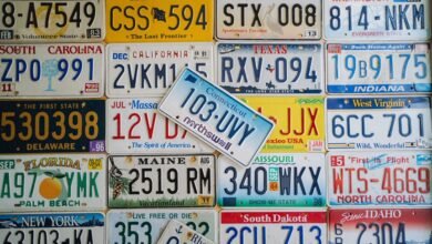 phone number registry findings for listed access numbers