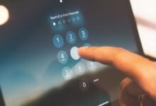 phone numbers identity lookup list captured