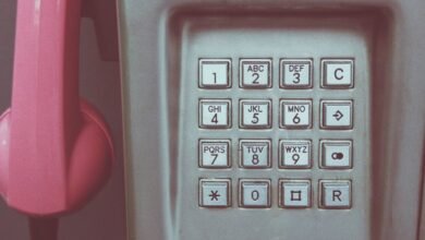 phone numbers listed for identity records
