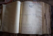 public registry record numbers listed