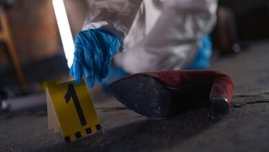 registry evidence identifiers listed