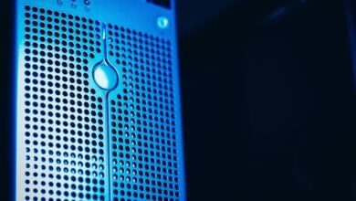 registry lookup numbers reviewed