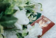 registry lookup user ids found