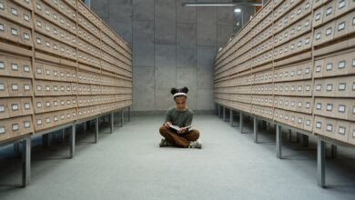 study number search database entries